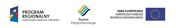 Strona projektu <strong>"Infrastruktura okołolotniskowa Międzynarodowego Portu Lotniczego w Pyrzowicach